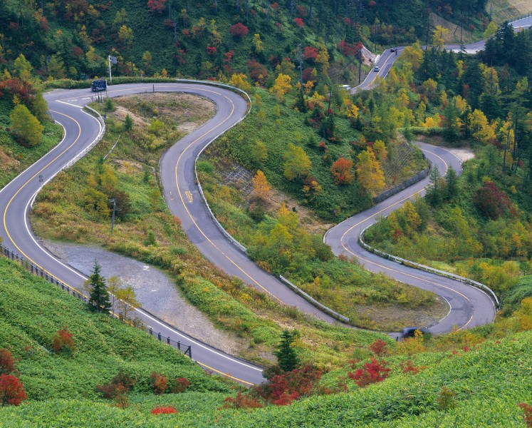 秋季马路图片(19张)