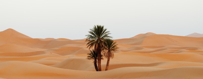 美丽的沙漠风景图片(15张)