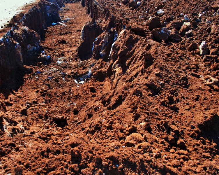 地面土壤图片(9张)