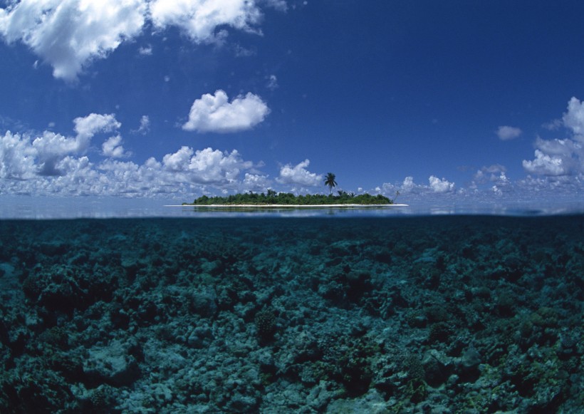 南太平洋群岛的图片(100张)