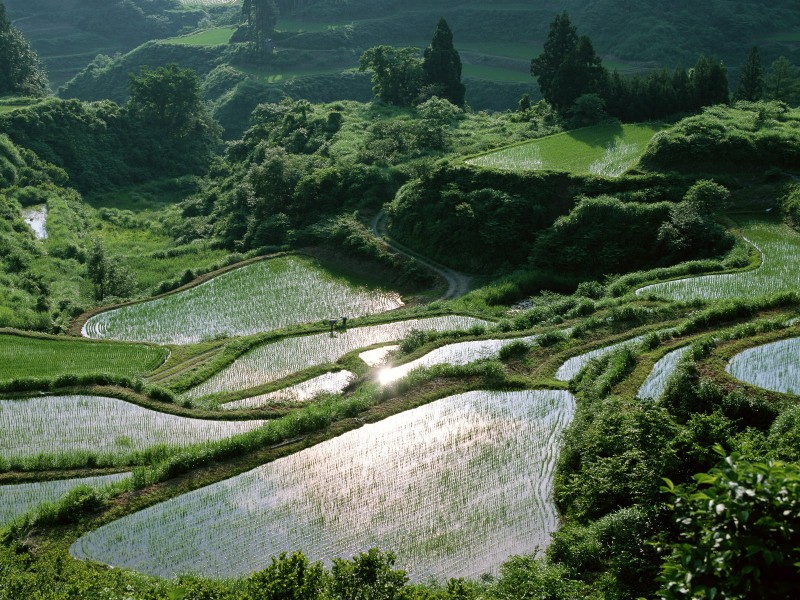 田间田园图片(20张)