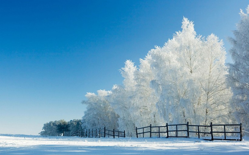 唯美的冬季雪景图片(6张)
