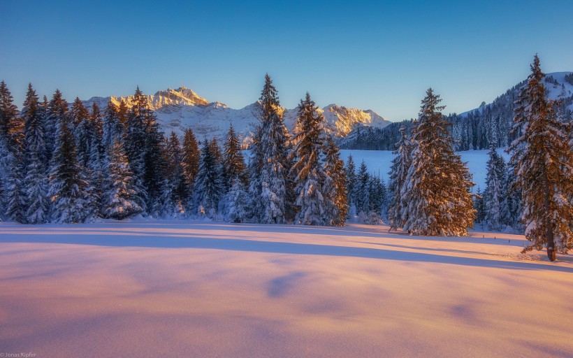 唯美雪景冬季风景图片(14张)