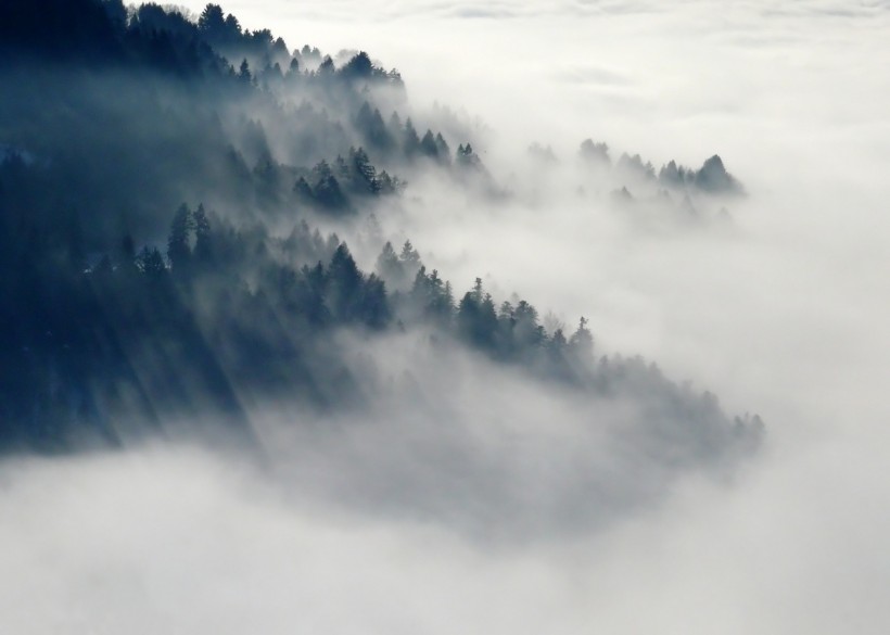 雾中美丽温柔的世界图片(36张)