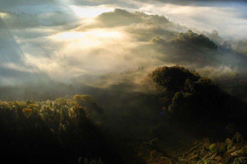 雾气缭绕的森林图片(10张)