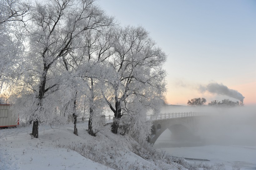 冬日冰冷的雾凇图片(21张)