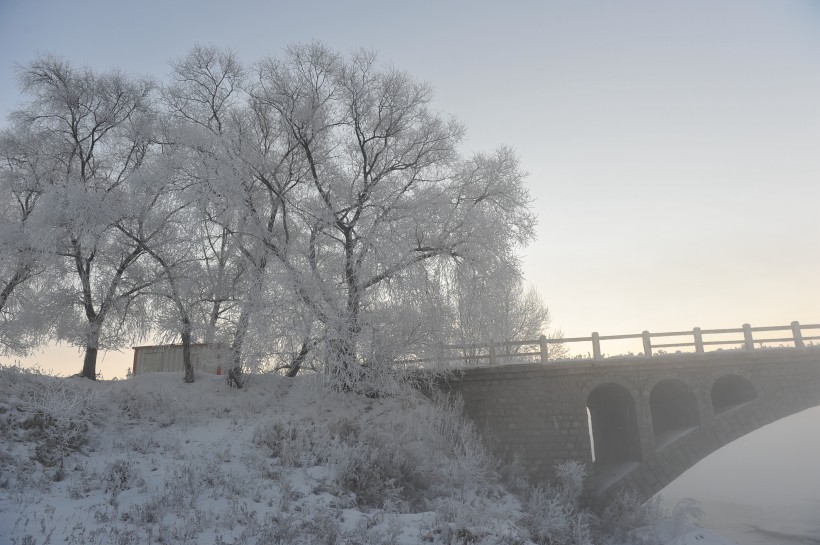 冬日冰冷的雾凇图片(21张)