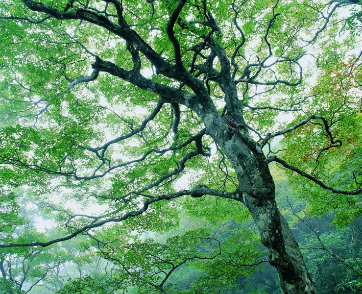 夏季景色图片(19张)