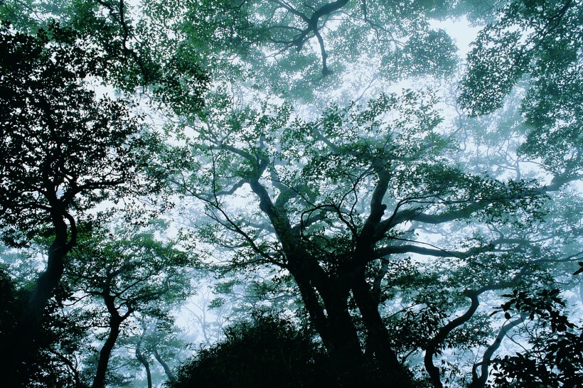 夏季景色图片(19张)