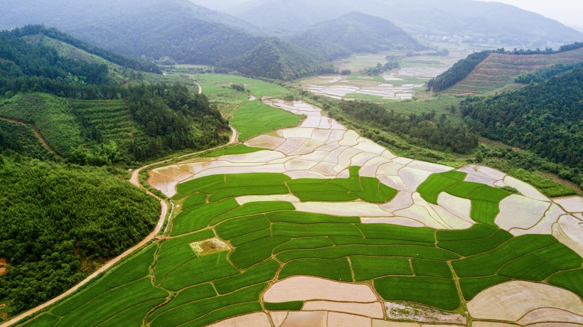 乡村田野风景图片(14张)