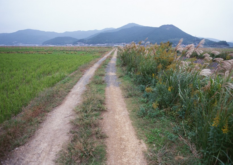 乡间小路图片(53张)