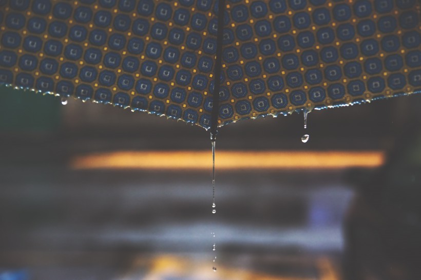下雨天的雨滴图片(12张)