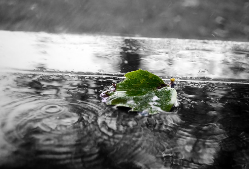 下雨天的雨滴图片(12张)