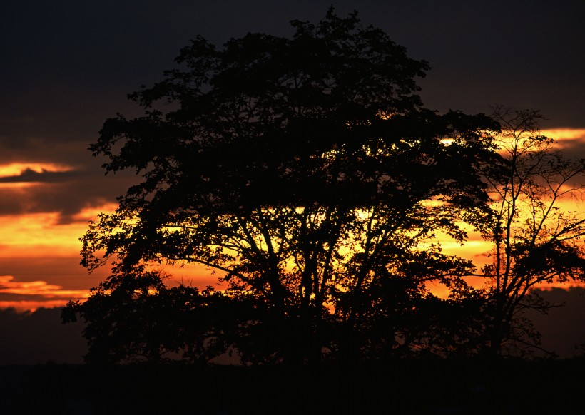 绚丽夕阳景色图片(22张)