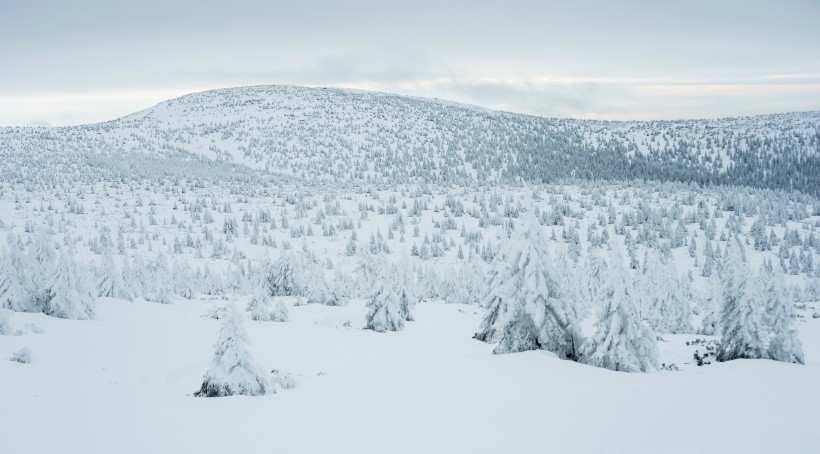 大雪纷飞的冬季美景图片(15张)