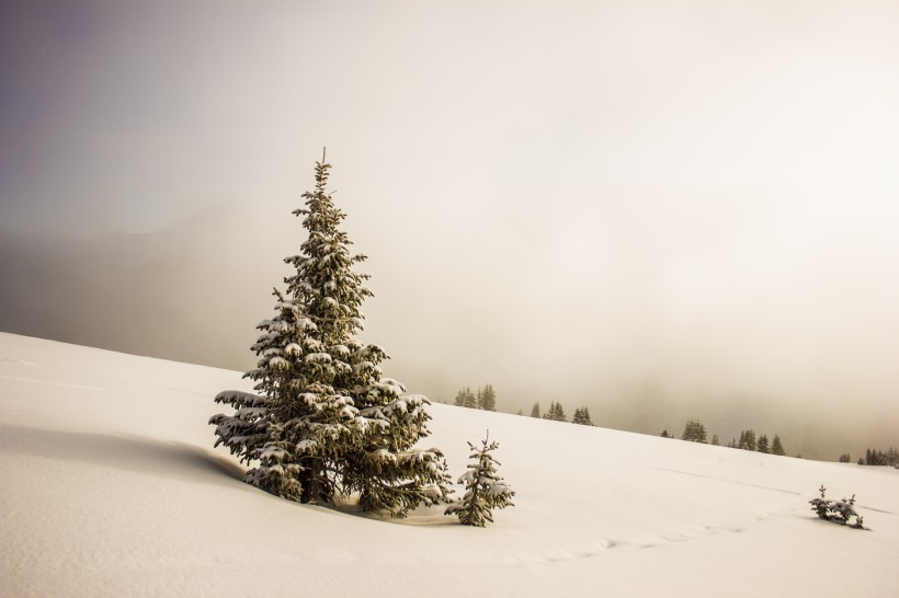 白雪皑皑的美景图片(13张)