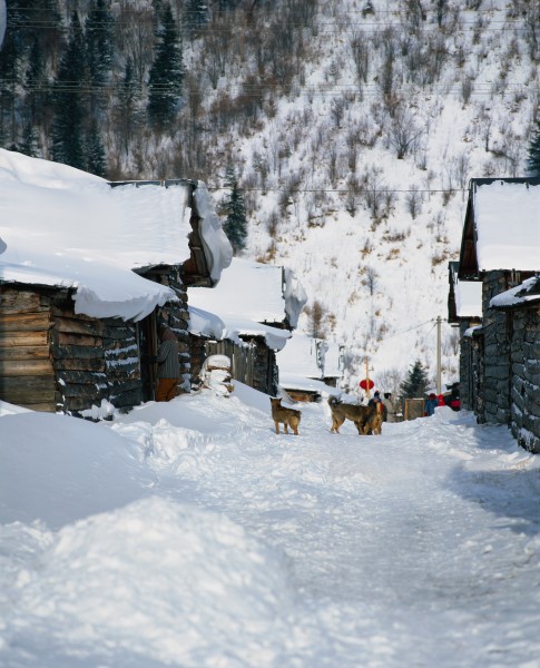 雪与村庄图片(8张)