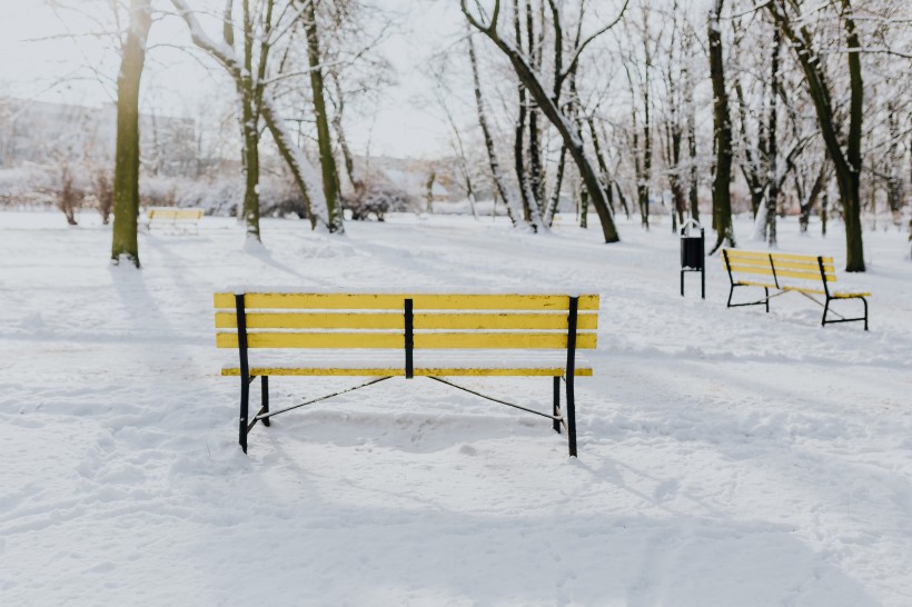 雪地里的公园图片(10张)