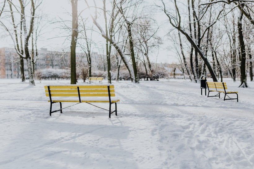 雪地里的公园图片(10张)