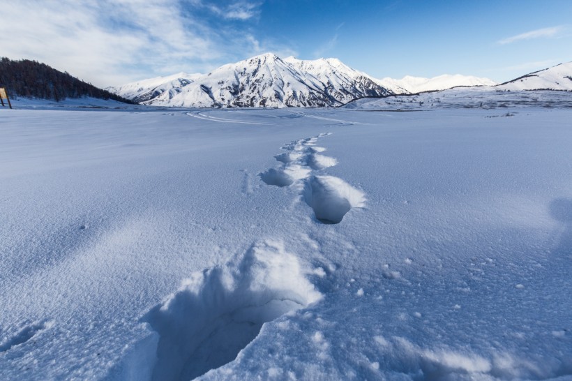 白茫茫的雪景图片(10张)