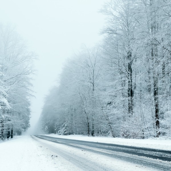 雪天道路两旁风景图片(8张)