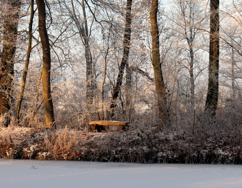 雪中的枝桠图片(15张)