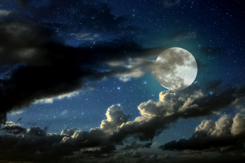 月圆之夜 图片(23张)