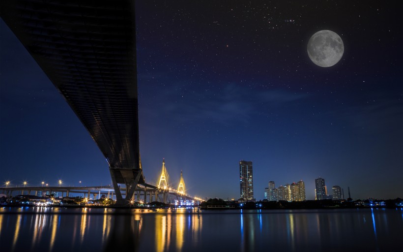 月圆之夜 图片(23张)