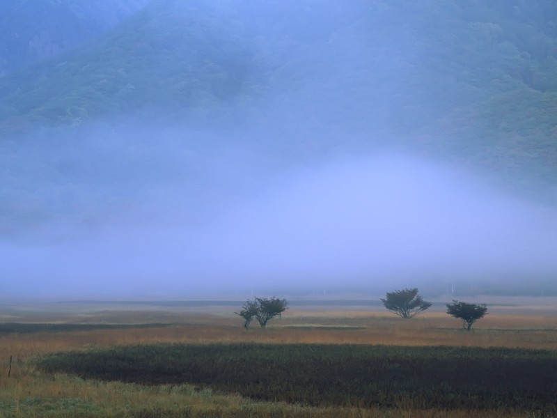 云雾缭绕自然风景图片(20张)