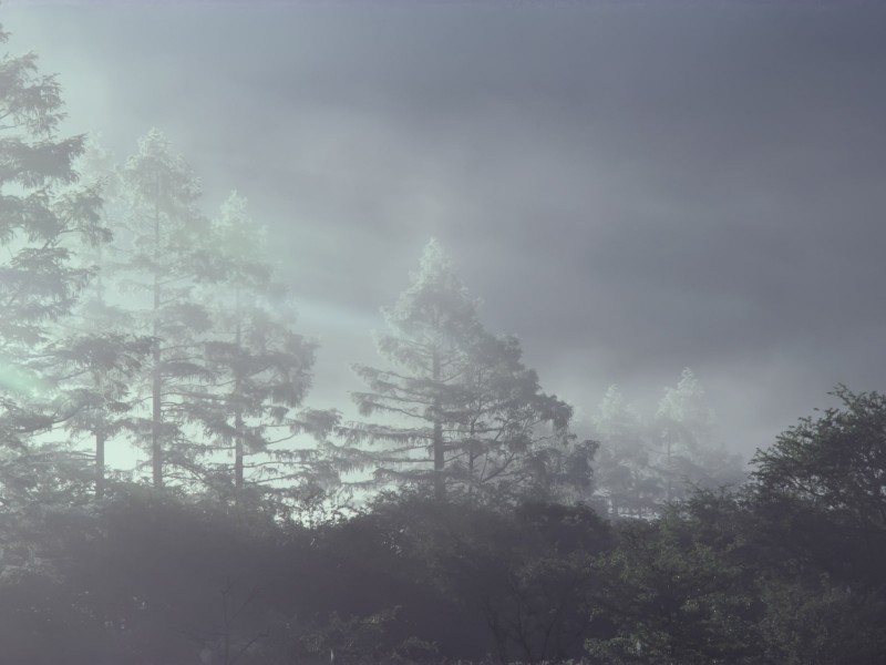 云雾缭绕自然风景图片(20张)