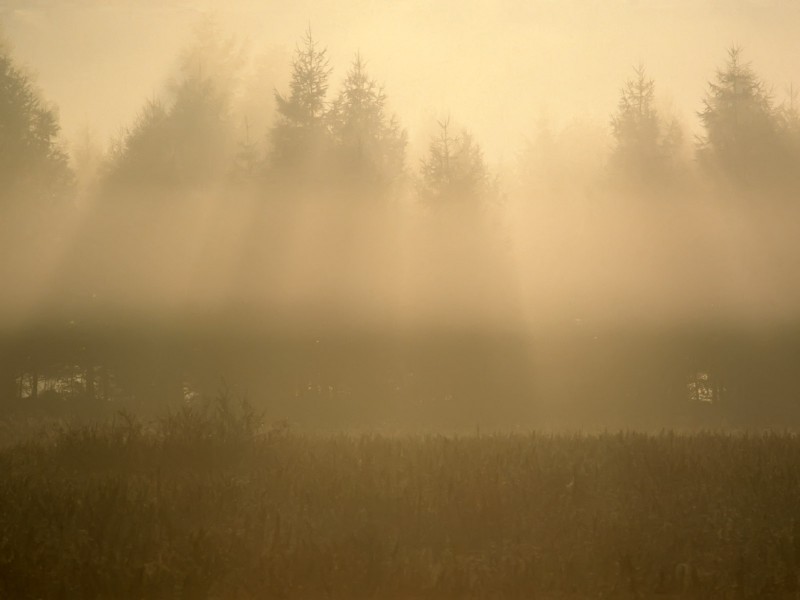 云雾缭绕自然风景图片(20张)
