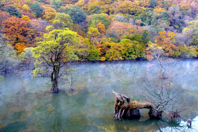 云雾缭绕风景图片(29张)