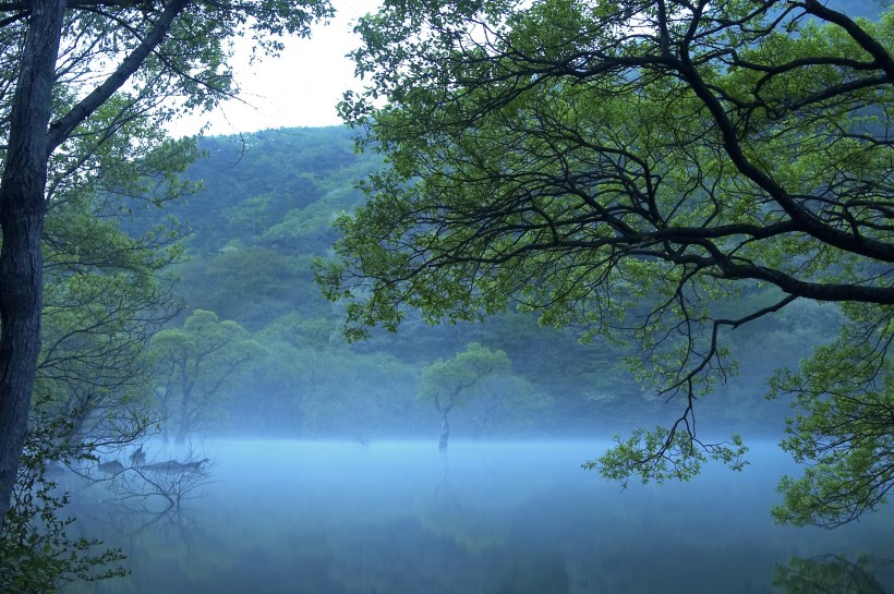 云雾缭绕风景图片(29张)