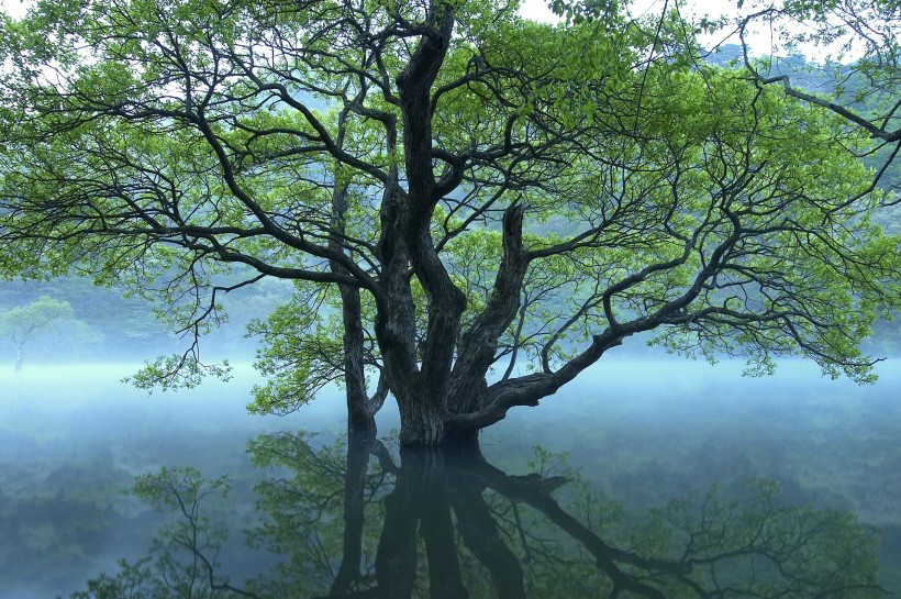 云雾缭绕风景图片(29张)