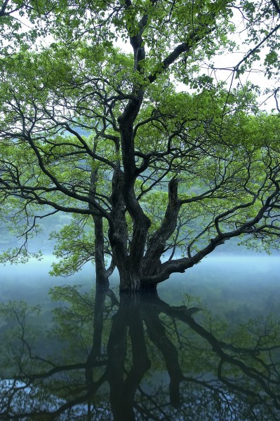 云雾缭绕风景图片(29张)