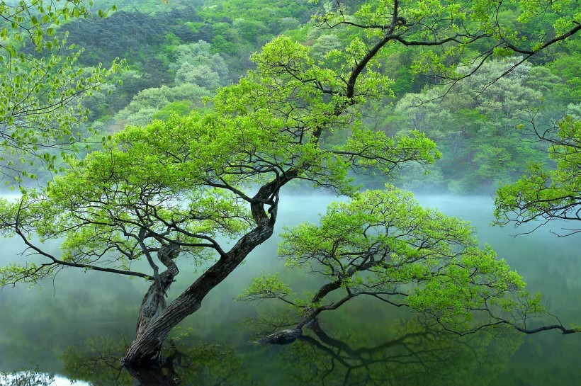 云雾缭绕风景图片(29张)