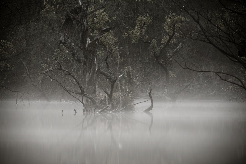 云雾缭绕风景图片(29张)