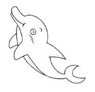 幼儿小海豚简笔画图片
