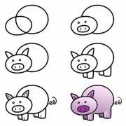猪的简笔画教程步骤图片：怎么画小猪