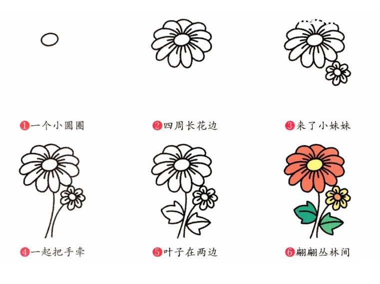 菊花简笔画步骤