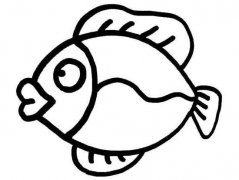 儿童鱼的简笔画图片