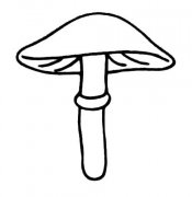 漂亮的伞状蘑菇简笔画图片