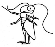小学生卡通蟋蟀简笔画图片