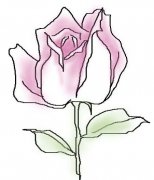 彩色的玫瑰花简笔画图片