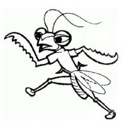 儿童卡通螳螂简笔画图片：奔跑的螳螂