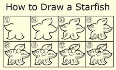 海星简笔画画法教程：如何画海星