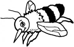 儿童蜜蜂简笔画