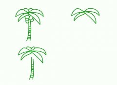 手绘椰子树简笔画画法