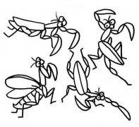 各种体态的螳螂简笔画图片大全