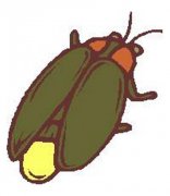 少儿昆虫简笔画图片：萤火虫